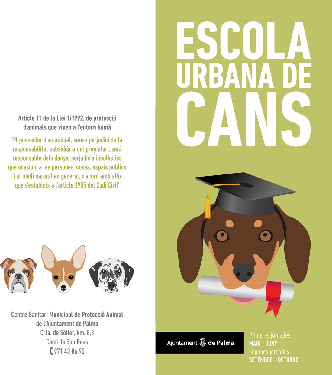 Escola urbana de cans 2016 - Imatge